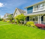 Early Summer Fertilization and Spot Weed Control