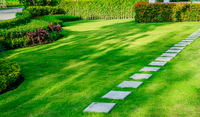 How to Choose the Best Lawn Care Company