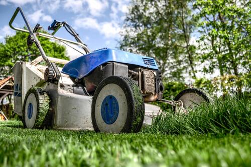 Professional Lawn Care Livingston County, Livingston County Professional Lawn Care