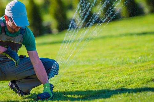 Lawn Fertilizer Services Livingston County, Livingston County Lawn Fertilizer Services